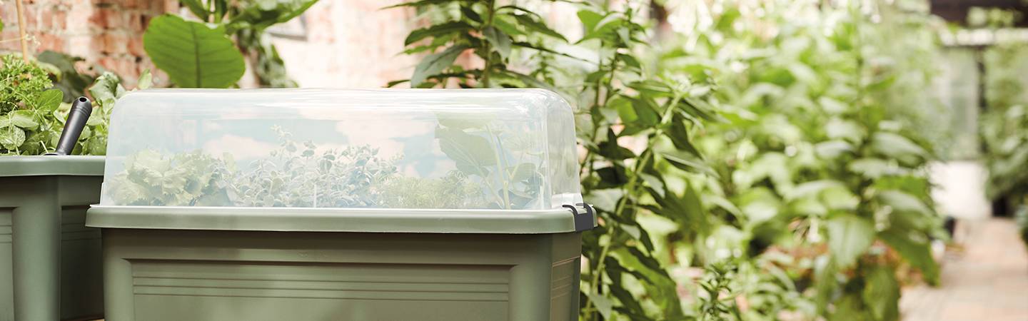 green basics grow house super xxl trasparente